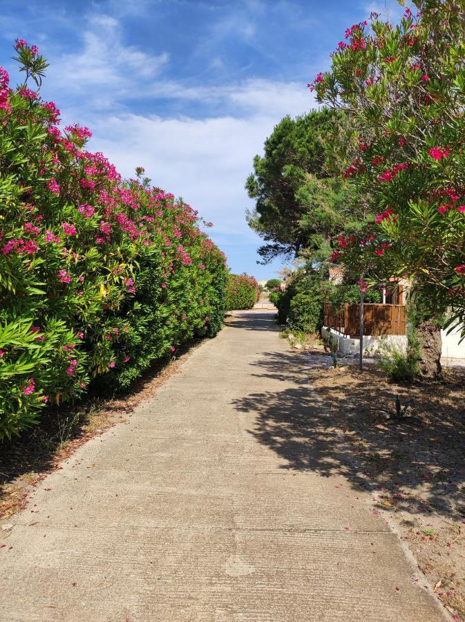 Coquette Villa De Vacances Le Barcares Exterior photo